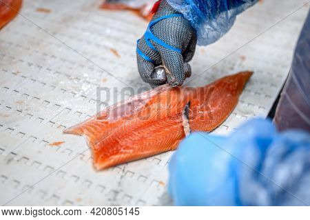 The Process Of Manual Filleting Of Red Fish. The Worker Cuts The Fish Into Pieces With A Knife. Fish