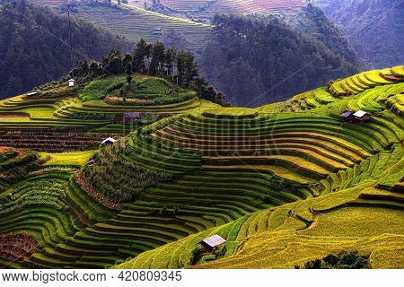 Rice Fields On Terraced Beautiful Shape Of Mu Cang Chai, Yenbai, Vietnam.