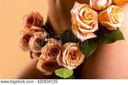 Sensual Panties. Female Health, Reproductive, Gynecology Isolated. Sensual Girl. Gynecology And Unde