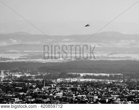 Panoramic Drone View Of Snow-covered Vineyards In The Rhine Valley