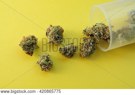 Marijuana Micro-dosing Concept. Cannabis Buds In Plastic Cup On Yellow Background. Cbd Therapy, Medi