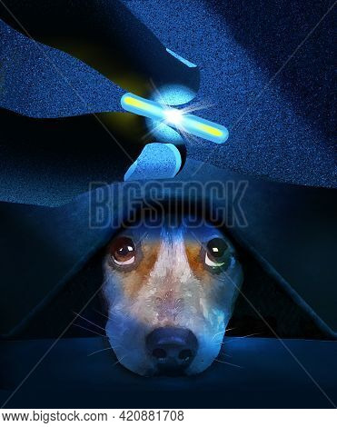 A Microchip For Tracking A Pets Location Is Held By Fingers As A Skeptical Beagle Dog Peers Up From 