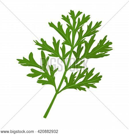 A Sprig Of A Medicinal Plant Wormwood. Vector Illustration Isolated In Cartoon Style.