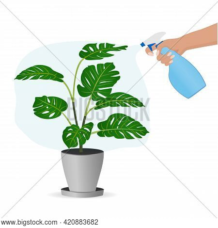 Plant Care. Spraying The Monster. Hand With A Spray Bottle. Vector Illustration.