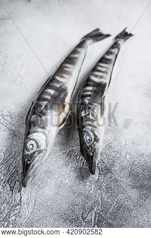 Raw Icefish On A Kitchen Table. White Background. Top View