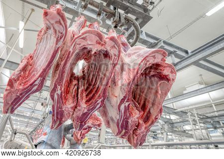 Chopped Beef Carcasses. Large Chunks Of Cow Carcasses Hang From An Overhead Conveyor.