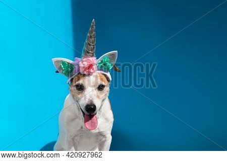 Jack Russell Terrier With Unicorn Horn On Blue Background