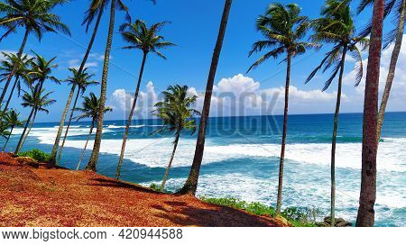Beautiful Sunny Day At Coconut Tree Hill Mirissa - One Of The Major Tourist Attracted Places In The 