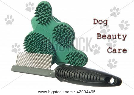 Aksesuar bir köpek bakım bakım