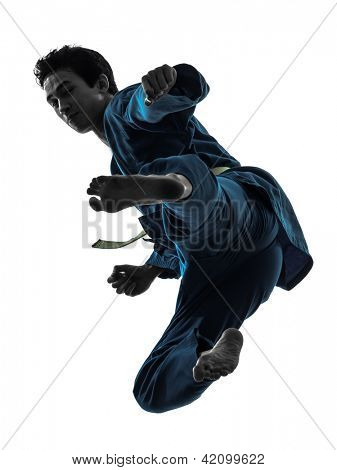 um jovem asiático, exercendo artes marciais karate vietvodao no estúdio de silhueta isolado no branco 