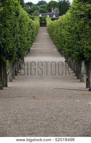 Villandry chateau and its garden