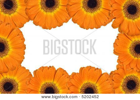 花相框