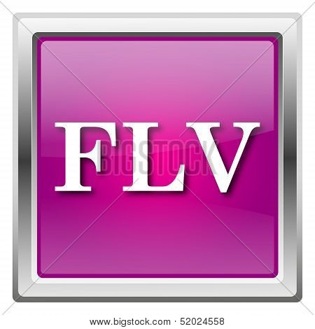 Flv Icon
