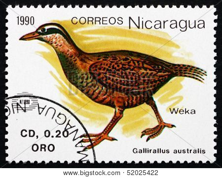 Postage Stamp Nicaragua 1990 Weka, Flightless Bird