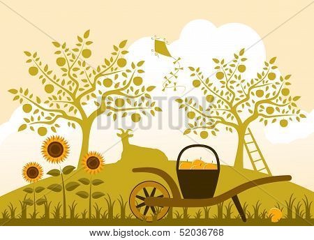 Apple Harvest