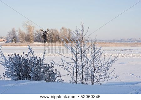 Winter Lake Landscape