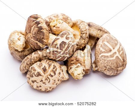 Dried shiitake isolated on white