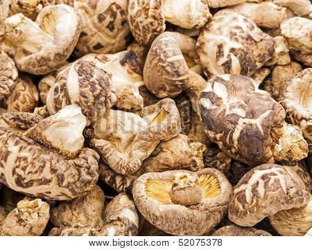 Dried shiitake