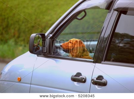 Passenger_seat