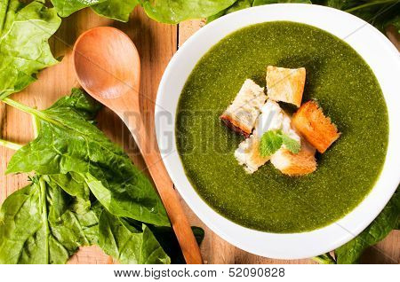 Vegetarian Spinach Soup