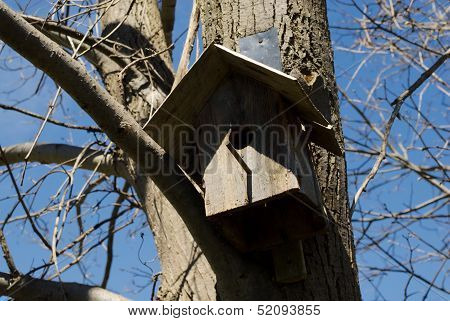 Wooden Bird House On Tree