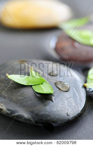 Stones submerged in water with green leaves and water drops