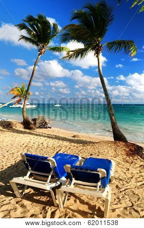 Sandy beach of tropical resort with palm trees and reclining chairs