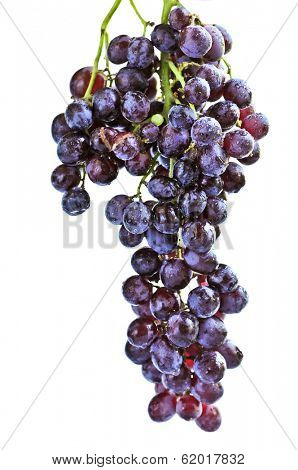 Cluster of red grapes close upi on white background