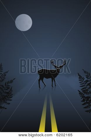 Chevreuil traversant la route dans la nuit sur fond de ciel et de la lune