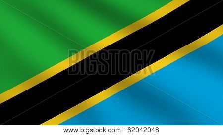 Tanzania Flag