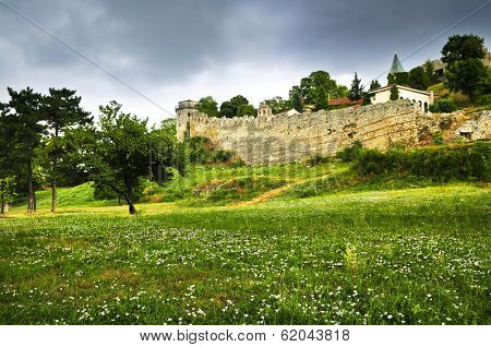 Kalemegdan fortress in Belgrade with field of wildflowers