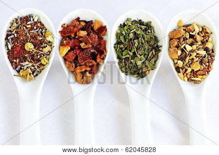 Herbal wellness dried tea in four spoons