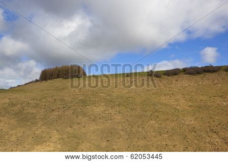 Spring Hillsides