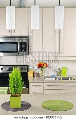 Modern kitchen interior with natural stone countertop