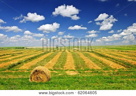 Harvested wheat on farm field with hay bale in Saskatchewan, Canada