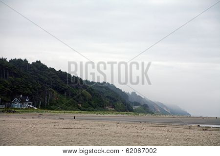 Mist at the Beach