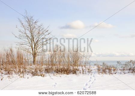 Snowy shore of lake Ontario in Sylvan park Toronto