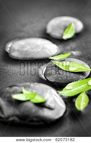 Black and white zen stones submerged in water with color accented green leaves