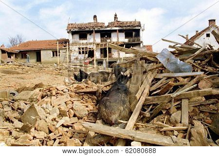 PREKAZ, KOSOVO, 19 MARCH 1998  - The destroyed home of a Kosovar Albanian leader Adam Jasari. The home was destroyed during fighting between the KLA and Serbian security forces.