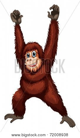 Illustration of a closeup orangutan