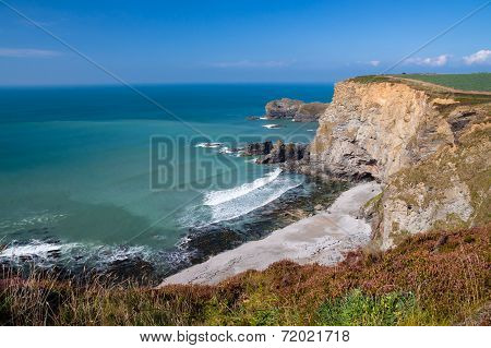 Bassetts Cove North Cliffs Cornwall