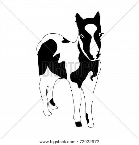 Black And White Silhouette Of Small Horse