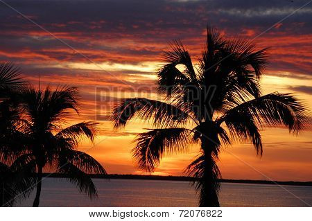 Tropical Sunset