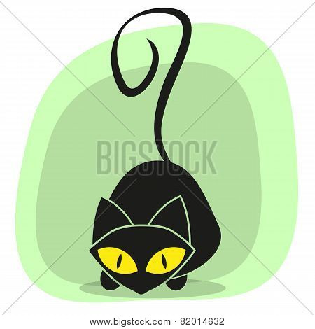 Black Cat
