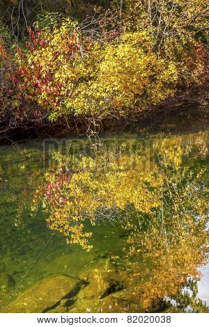 Fall Colors Green Water Reflection Abstract Wenatchee River Washington