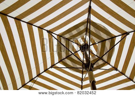 Under The Canvas Umbrella.