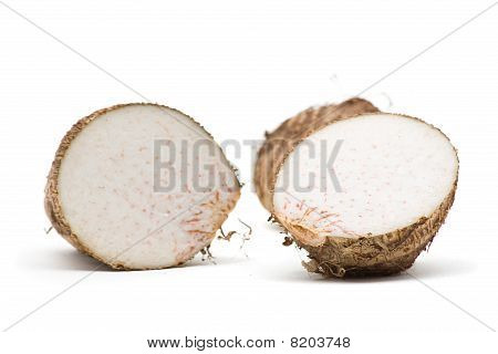 Racine de Taro