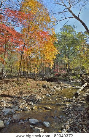 Autumn Woodsy River