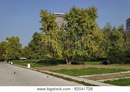 Riverside park in Ruse town along river Danube