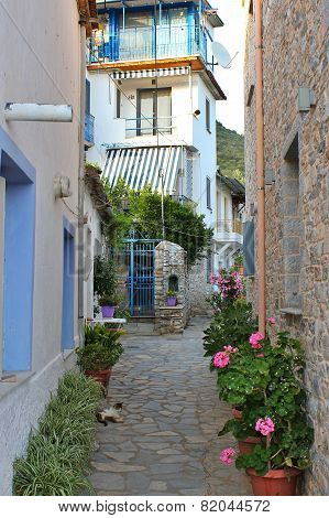 Small Village Alley